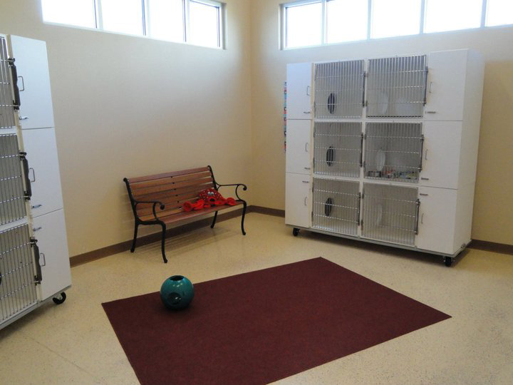 Northwest Animal Hospital Cat Boarding