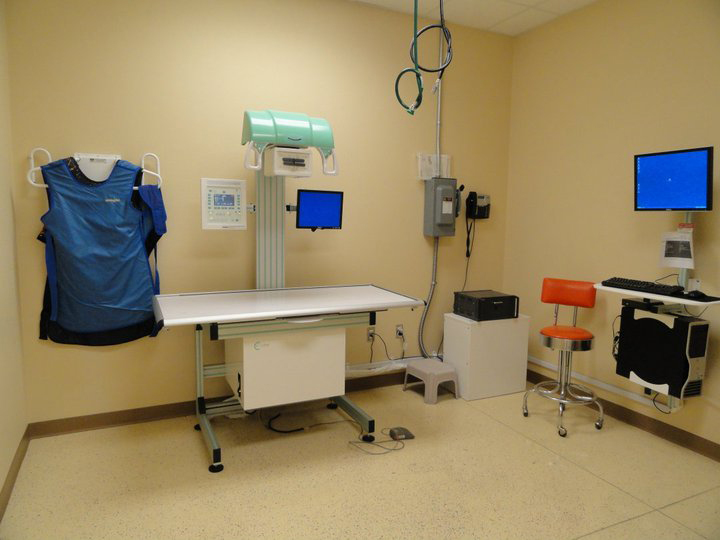Northwest Animal Hospital Digital X-Ray Room