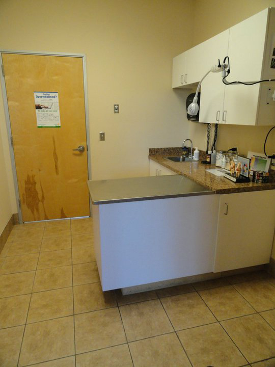Northwest Animal Hospital Exam Room