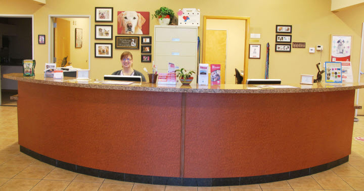Reception Area at Northwest Animal Hospital