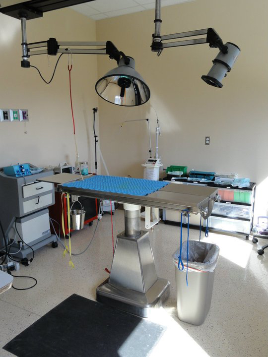 Northwest Animal Hospital Surgery Suite