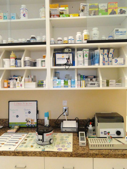Pharmacy Lab